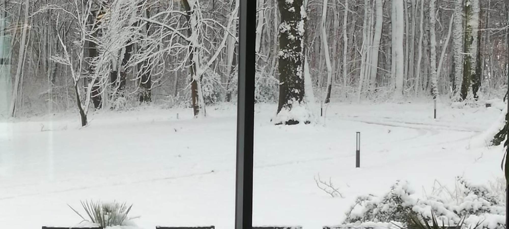 Photos hiver - xmas 2024  4