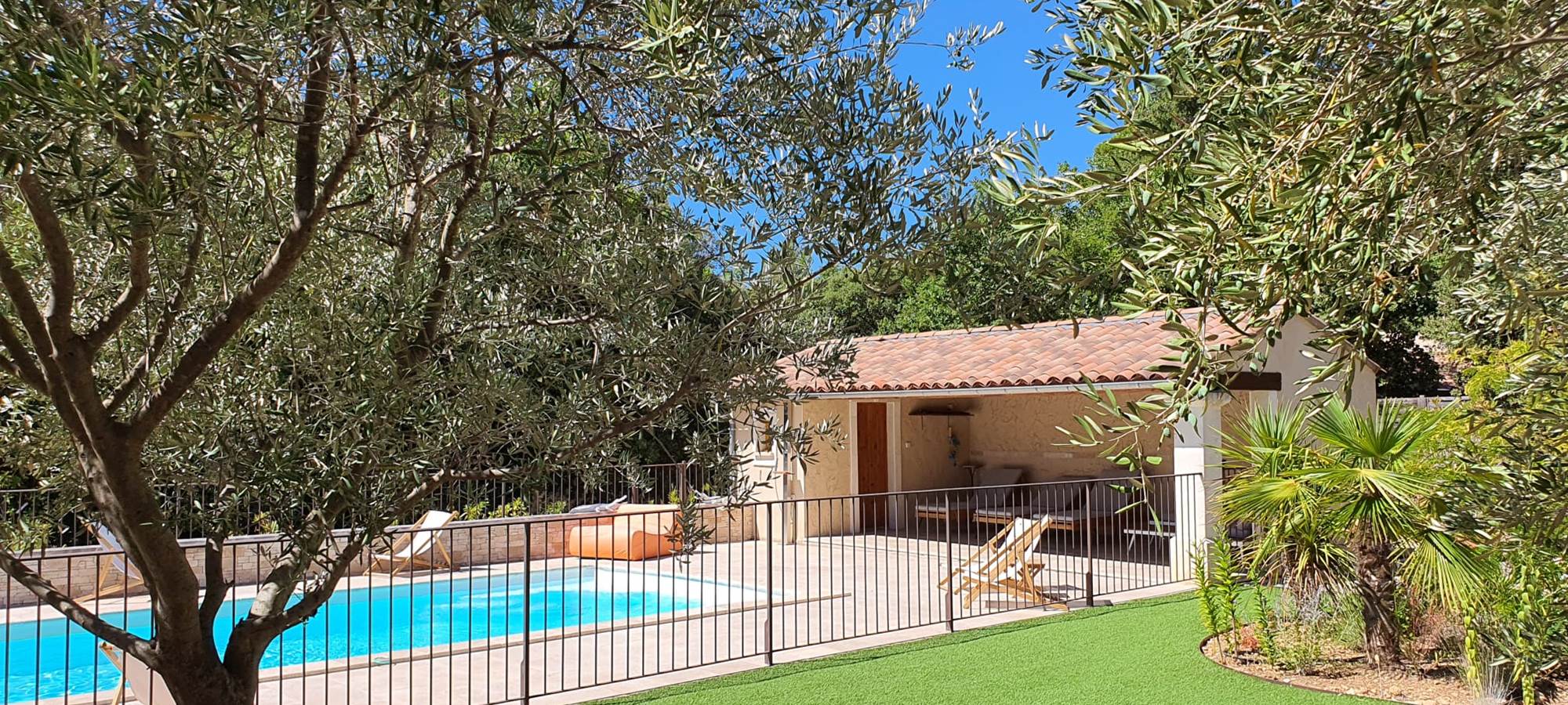 Piscine et oliviers
