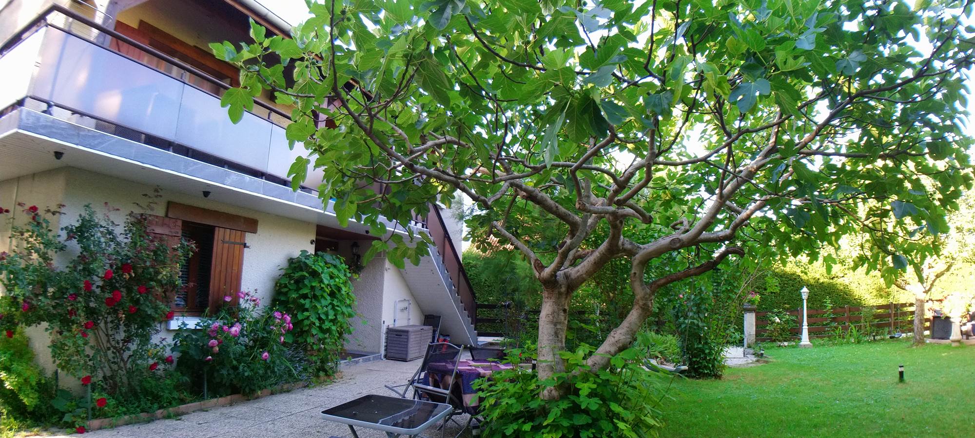 Vue-terrasse-gite-les-gites-de-josefine-et-voltaire-ornex-ferney-voltaire-genève-aeroport-mont-blanc-jura