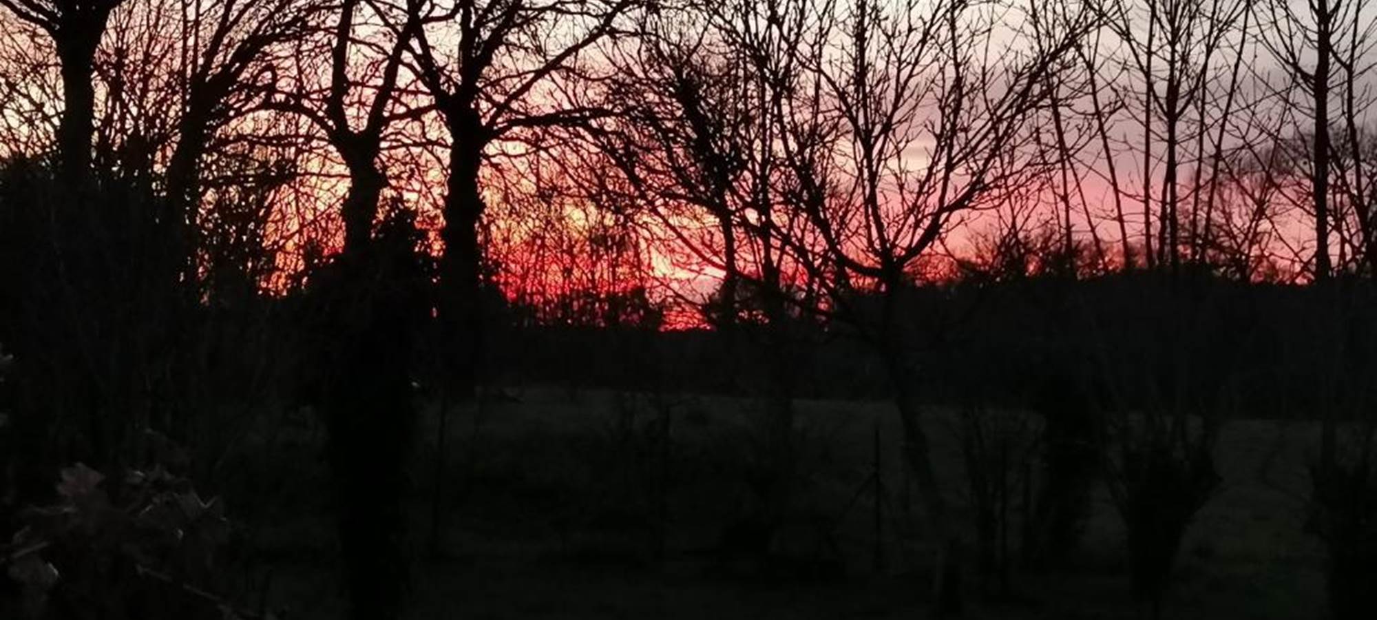 AR-LITORIENN-Chambre-d'Hôte-à-Paimpont