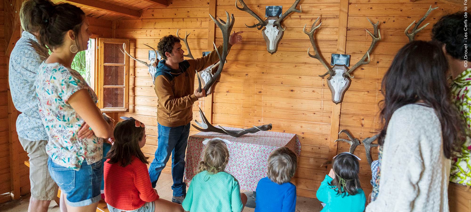 Cabane aux bois de cerfs