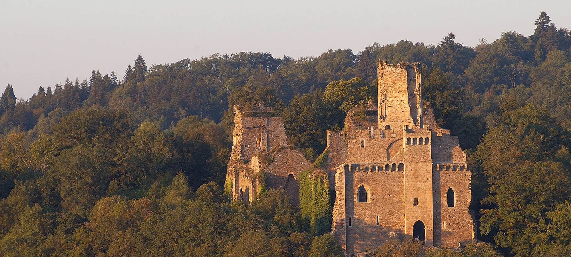 Château de Chalucet