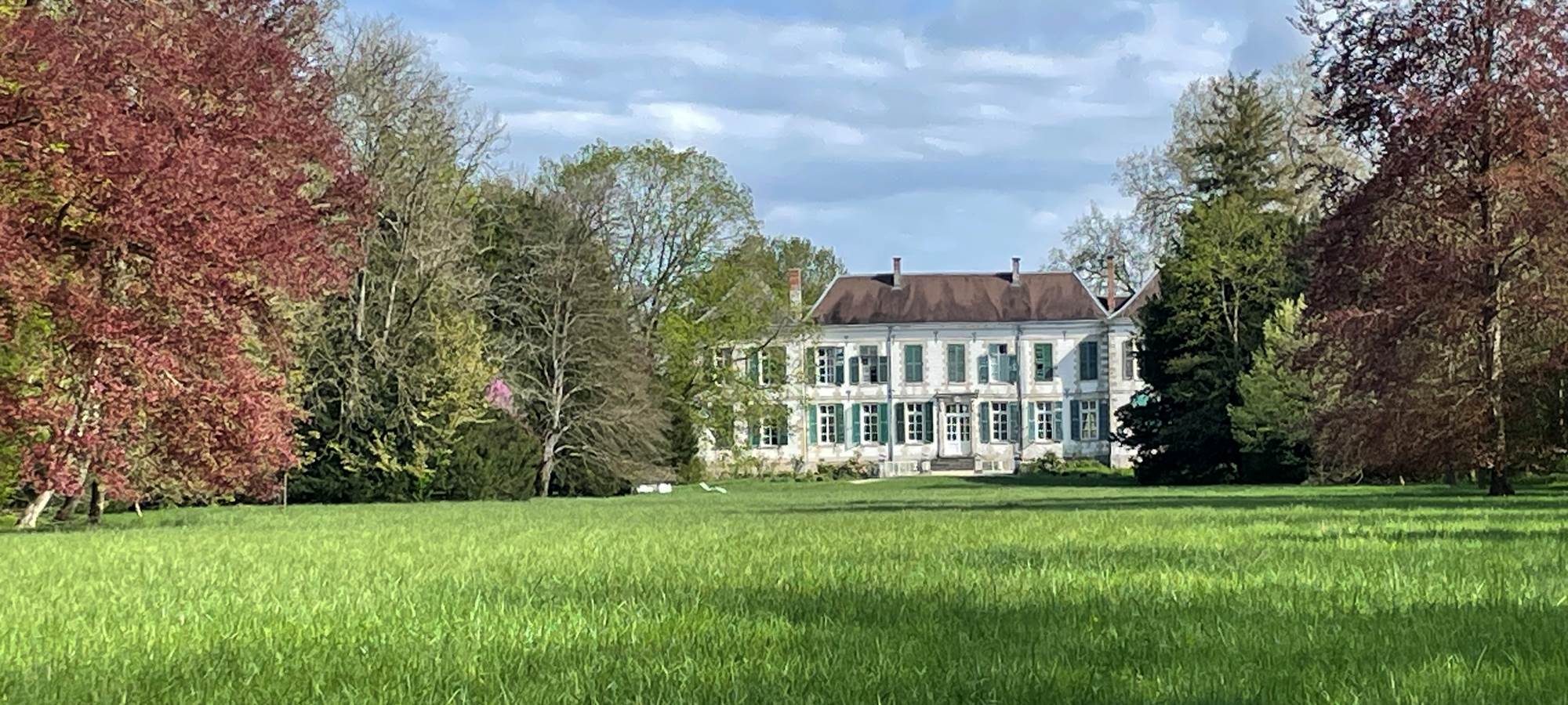 Vue arrière, du fond du parc