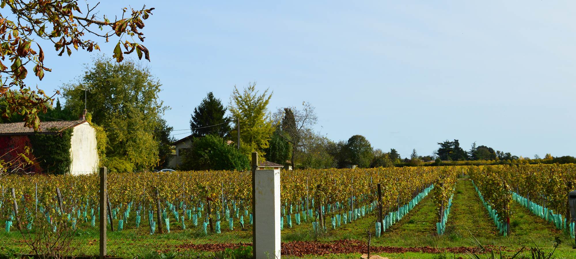 Le jardin vue sur vignes