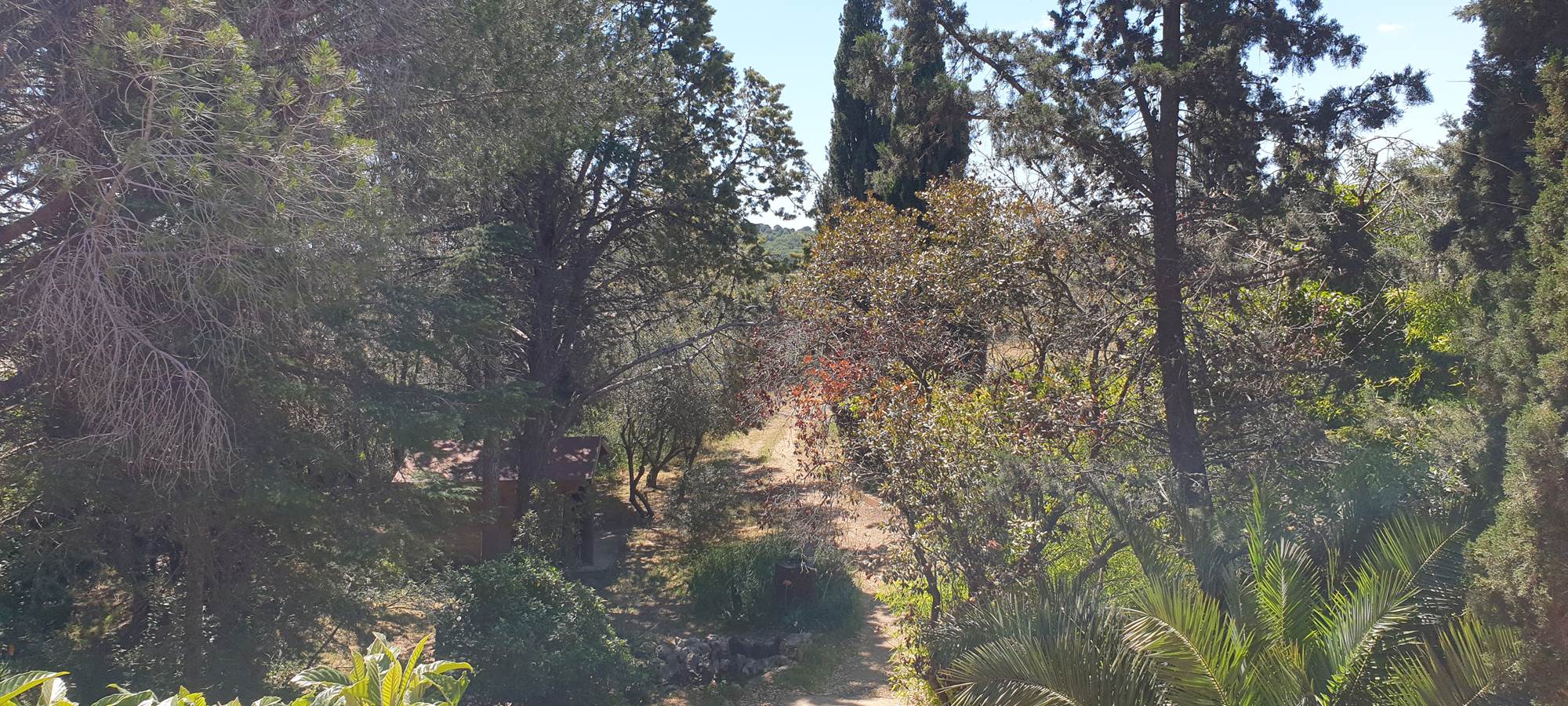 LES CHAMBRES DE MON P'TIT MAS - chambres d'hôtes - propriété rurale - Campagne