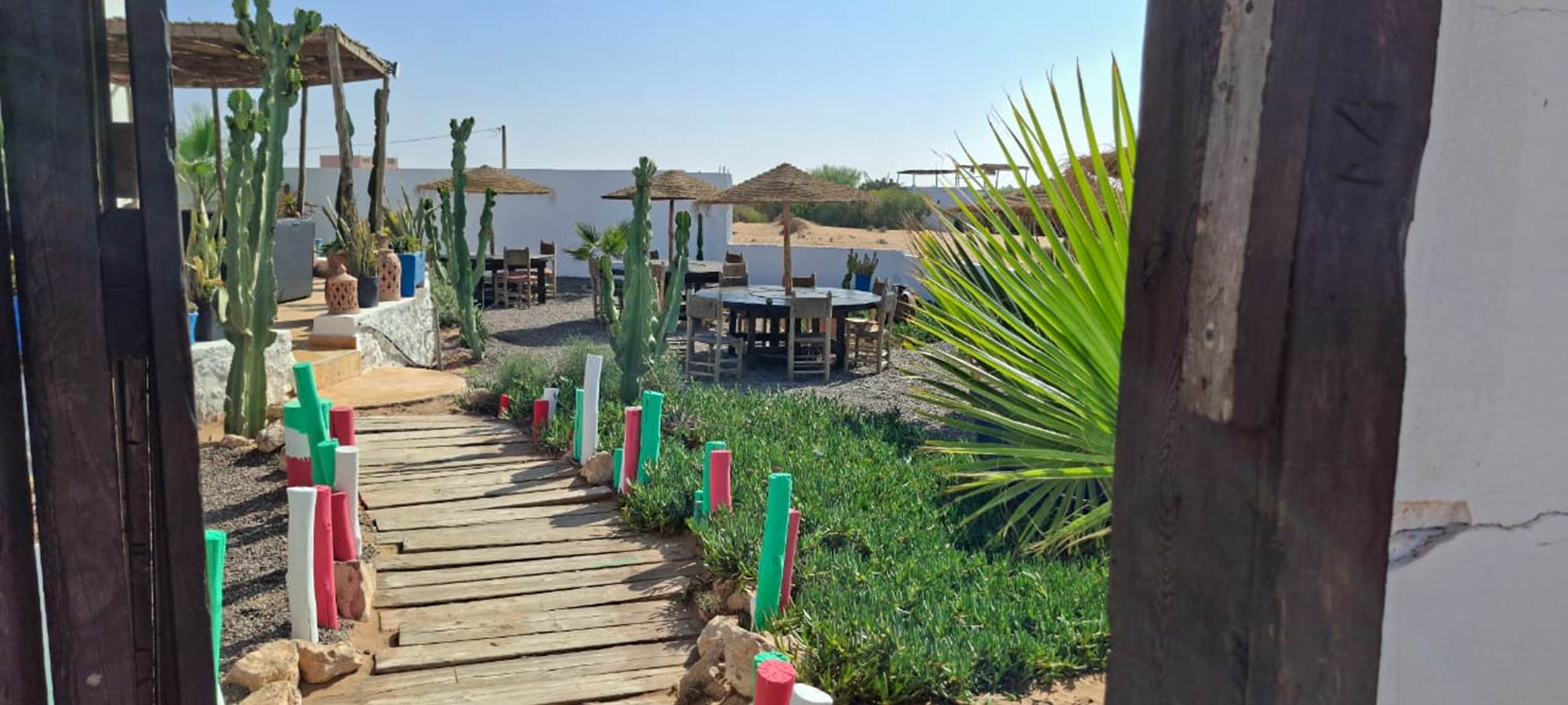 WhatsApp Image 2025-10-23 at 08.25.56