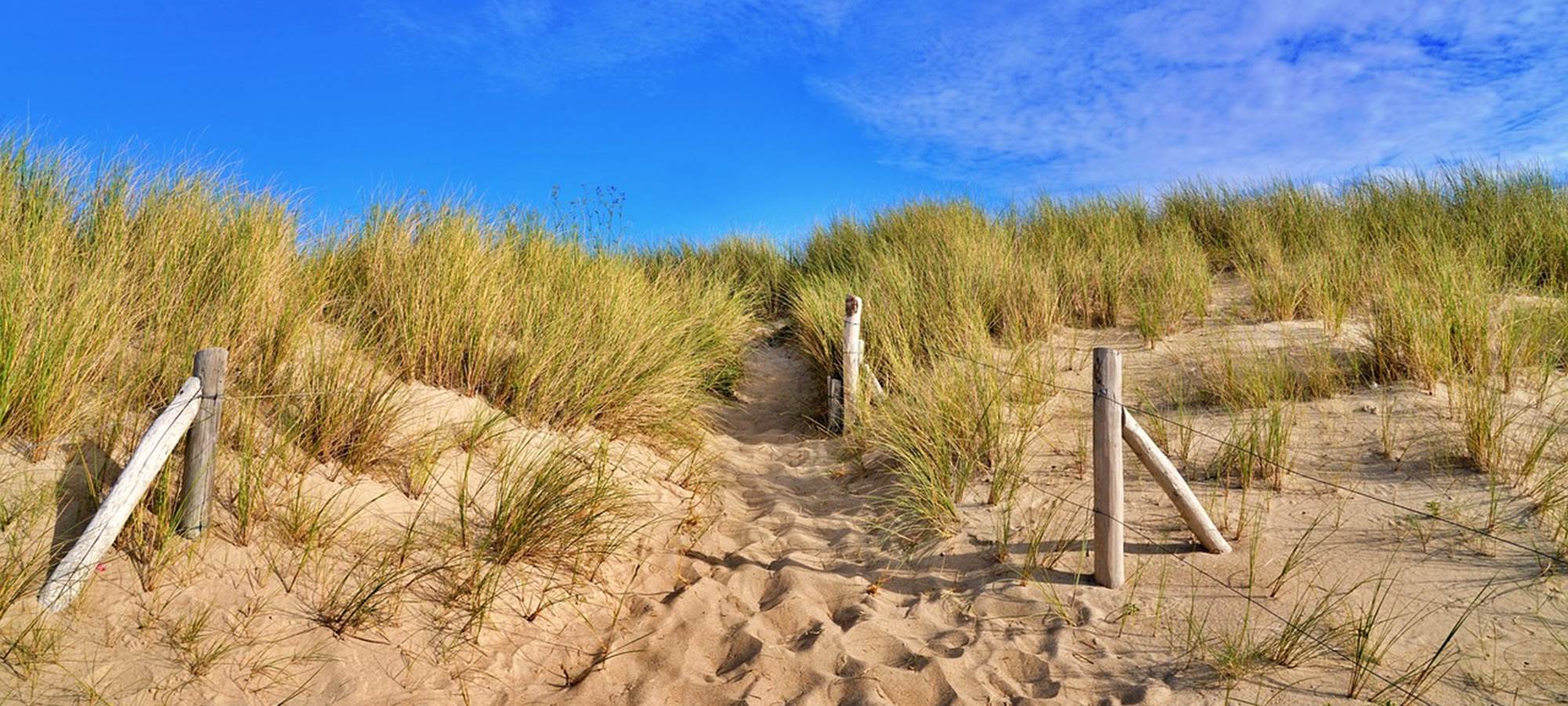 AU LOGIS DE SOIZIC - plage St Coulomb