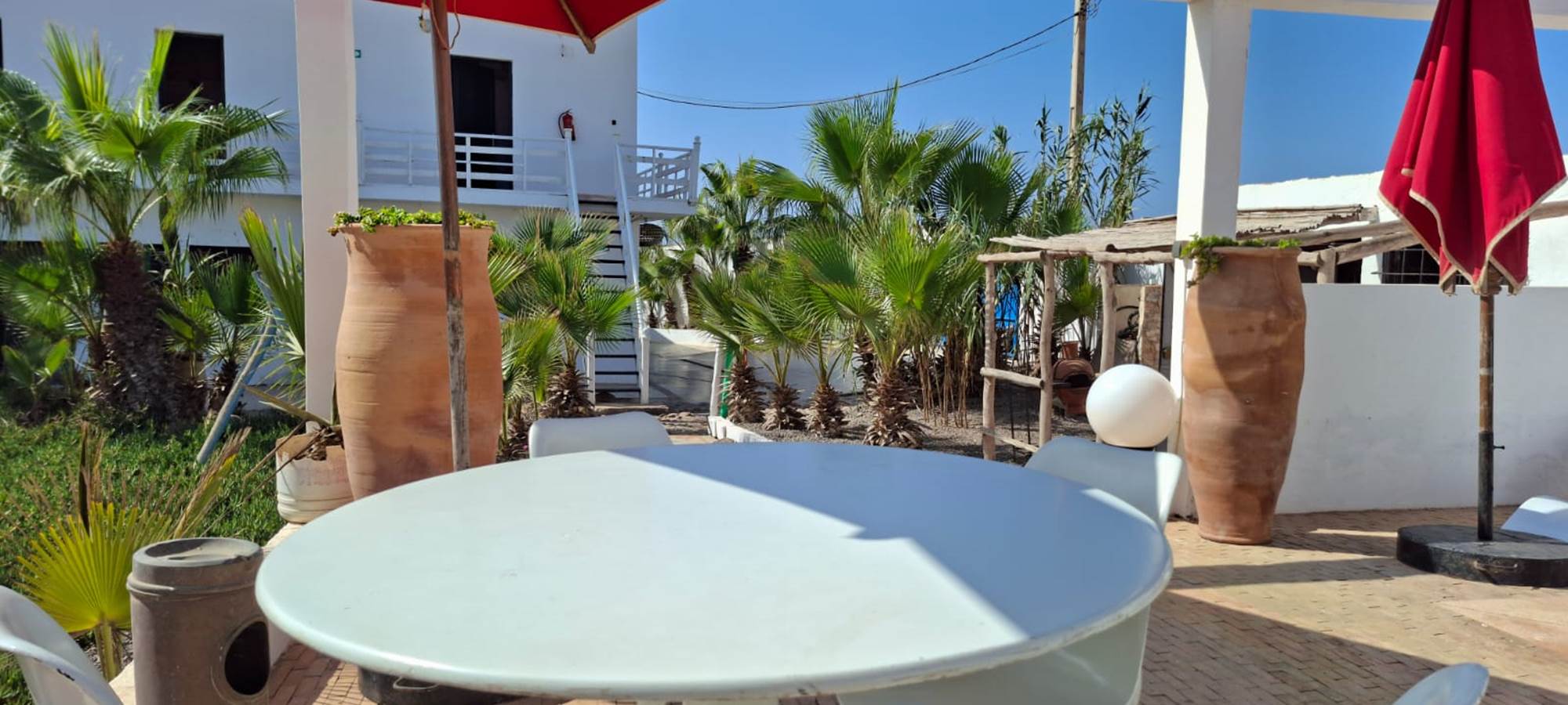 WhatsApp Image 2025-10-23 at 08.52.56