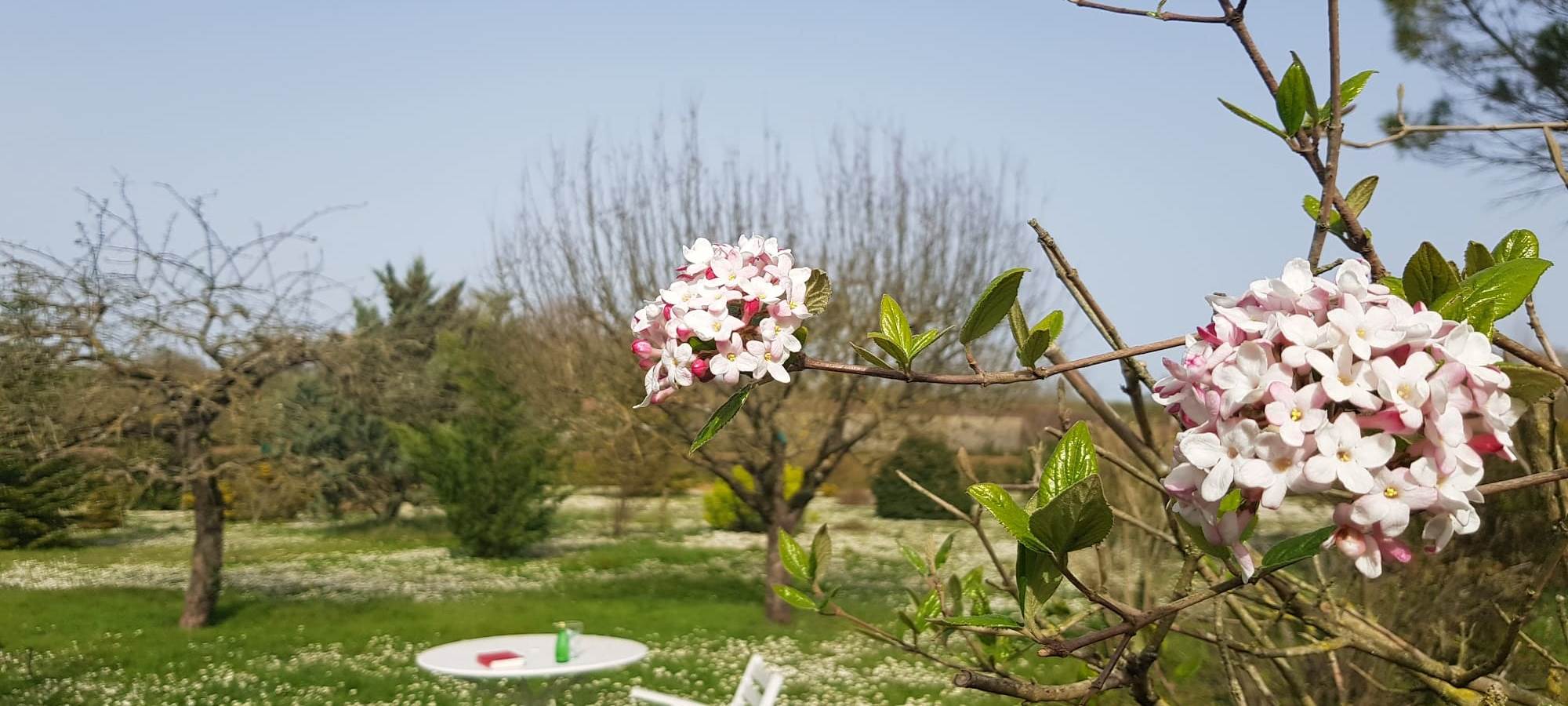 Domaine de Pelouaille - jardin