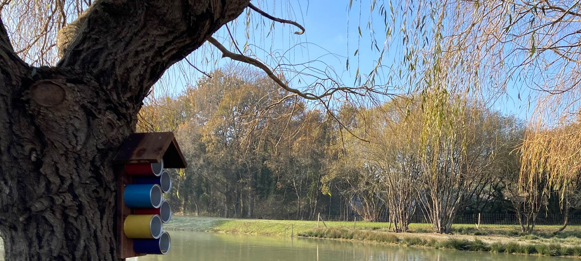 Eco-responsable Ecolodge Charles Ashton