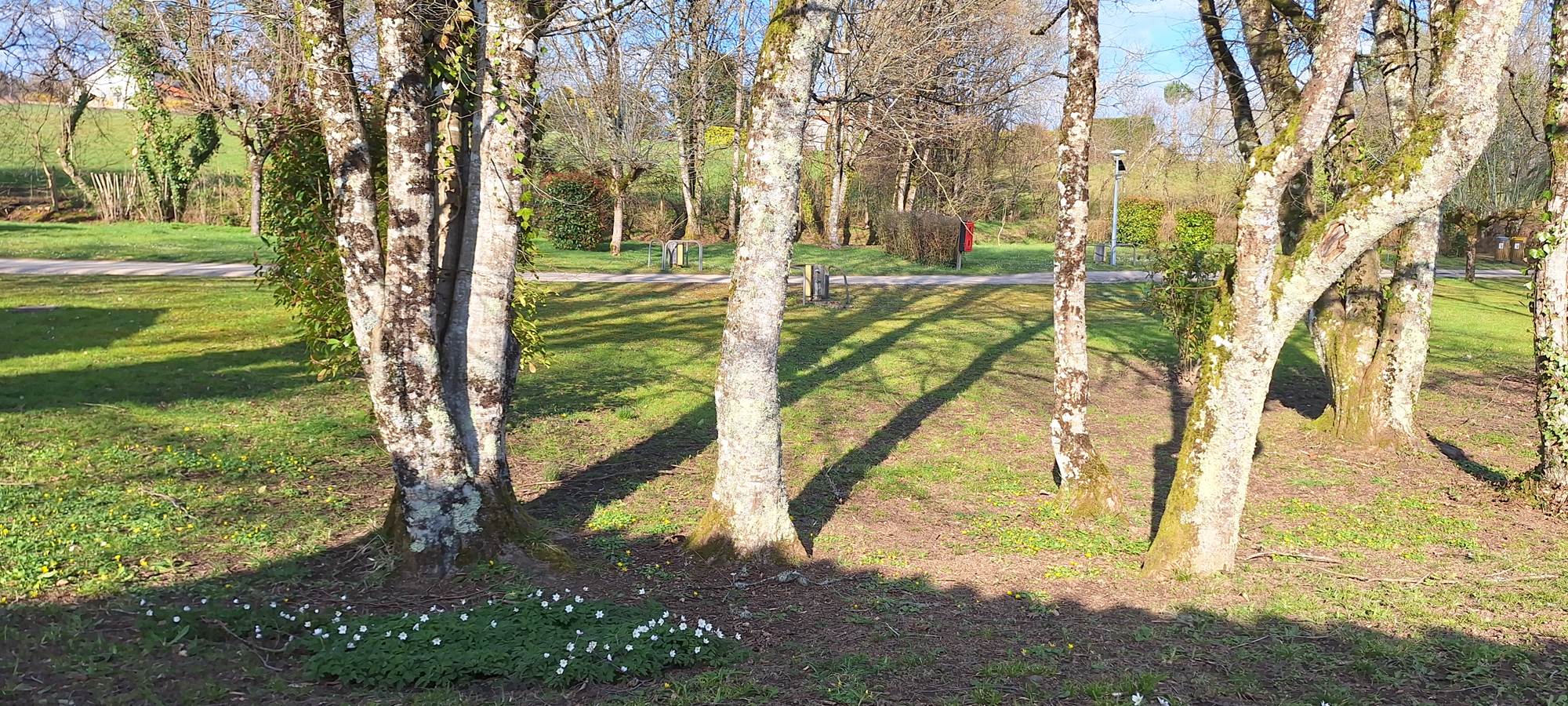 lepetitbois46_Leyme_emplacements camping_printemps2025