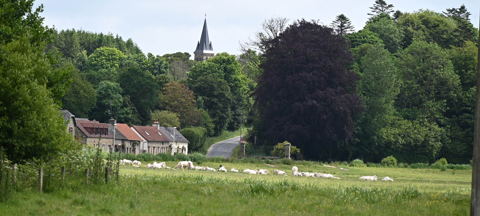 aufildeleau-cotentin-bnb-chambre-hote-le vast