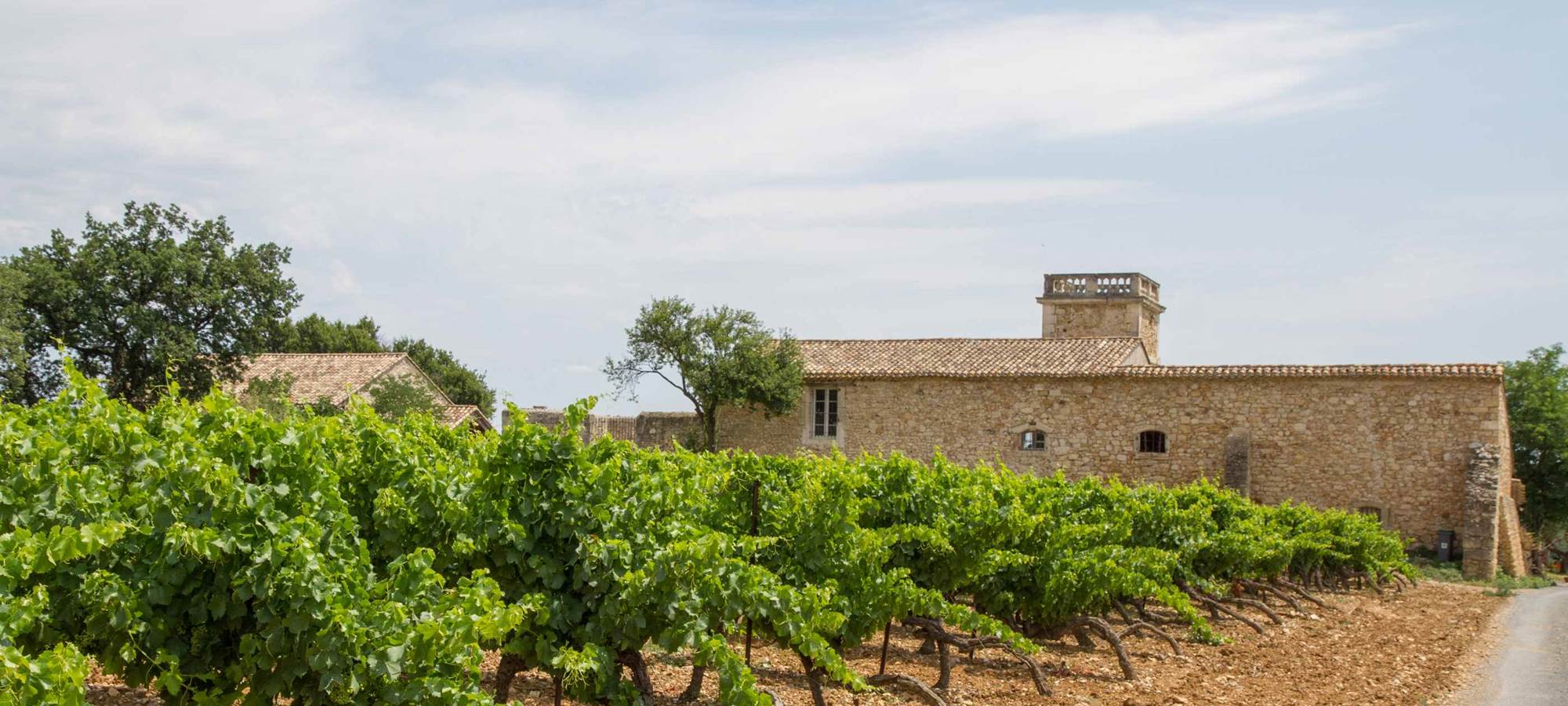 Terrasse aménagée au calme avec vue sur les vignobles du Languedoc
