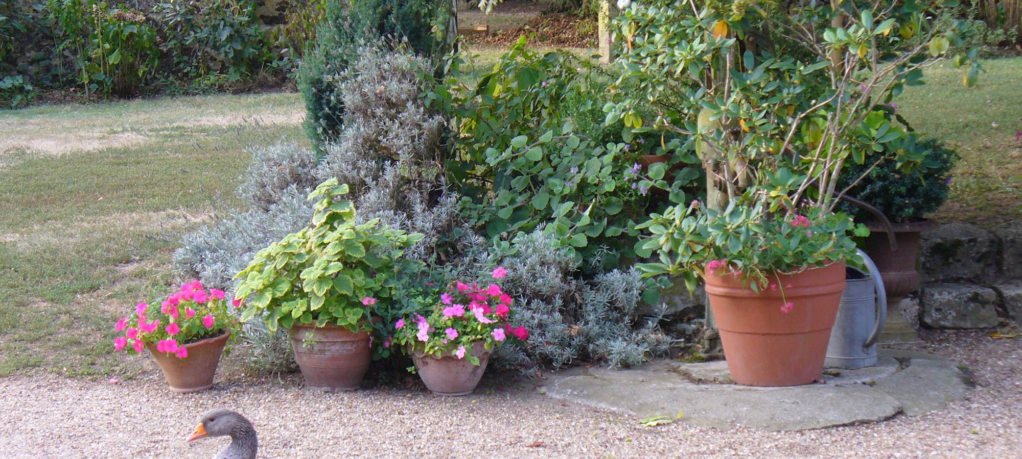 Le Clos de la Chesneraie