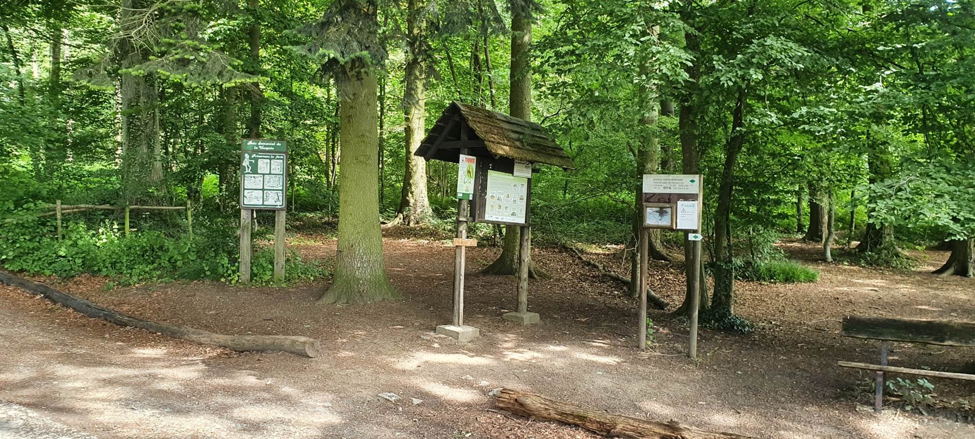 bois de la Vecquée, départ de sentiers
