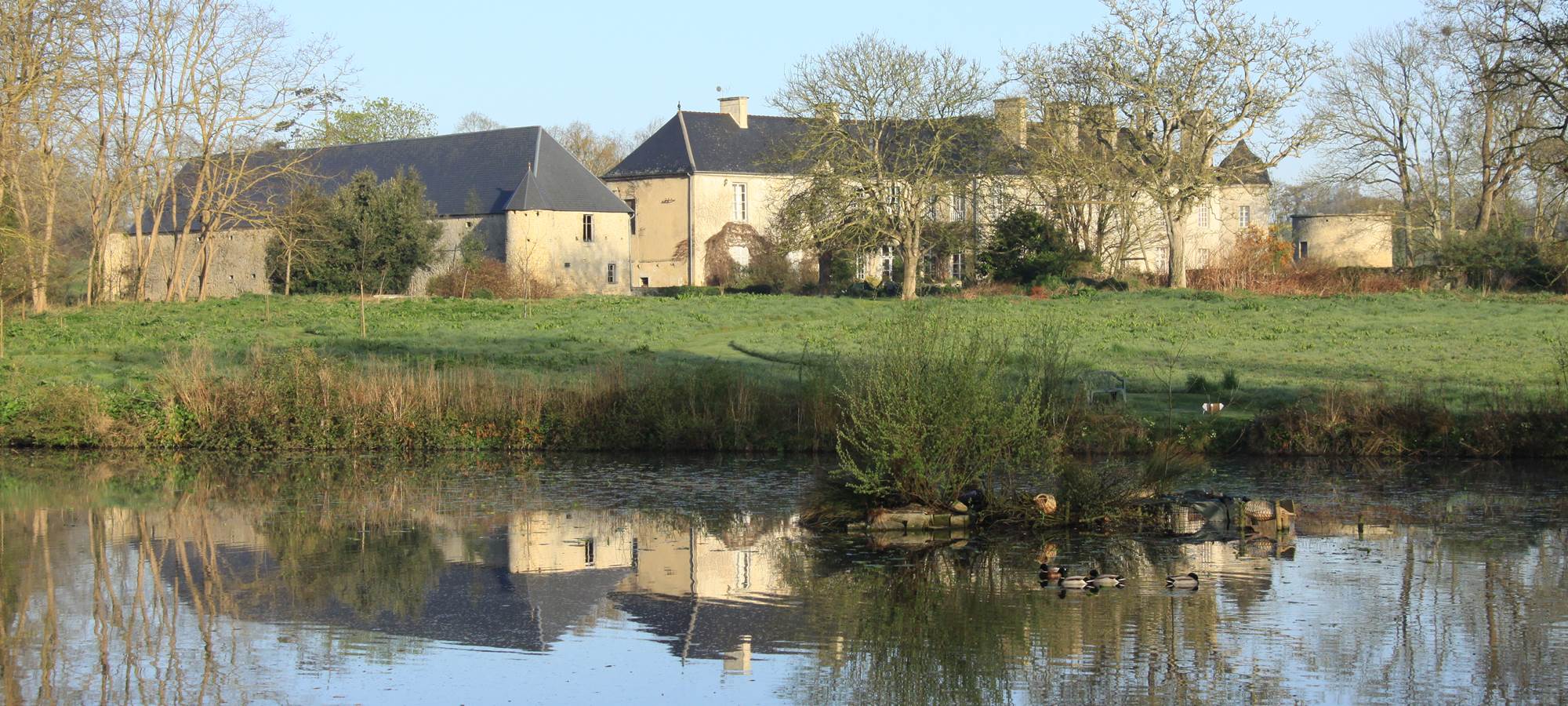 L'Etang avec ses canards _acces par chemin pédestre_