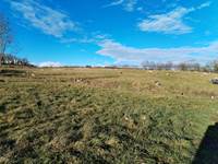 vue sur les animaux de la ferme - moutons - chèvres