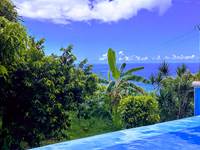 Le paradis vert et bleu
