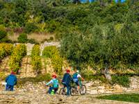 Sortie entre les vignes