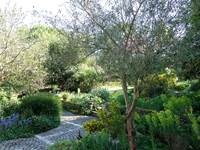 Vue sur le jardin