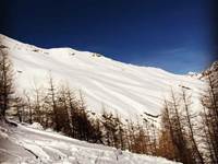 Belle poudreuse sur Pelvoux