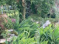 Espace jardin paisible et fleuri au Domaine Sainte Raffine