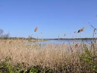 Etang de la Mer Rouge