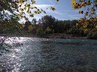Les bords de l'Hérault à l'automne