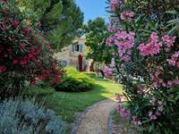 Le jardin