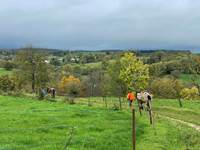 Balades dans les Crêtes Préardennaises