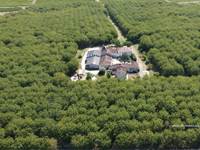 vue aerienne 1 dimitri
