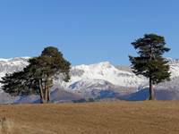 Fin d'hivers à Auzet