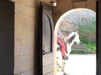 Cavalier à l'entrée de l'ancien pont-levis