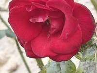 img-4063_1536x1024