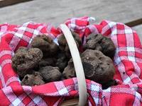 Truffes au marché à Lalbenque