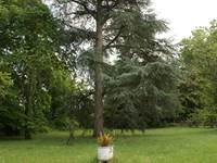 44 Parc Est