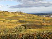 GÎTE VIGNOBLE ALSACE KAYSERSBERG  Vignoble