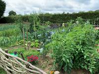 Jardin potager de L'intemporelle Ozourt