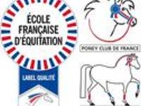 centre équestre labéllisé