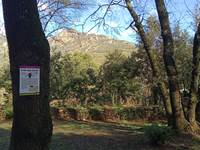 tres grand emplacement, 20 personnes max, la cigale