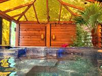 Jacuzzi exterieur privatisable