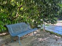 IMG_5291 (002)