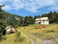 Refuge du cubertin avec les vaches