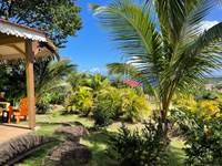 vue de ti bambou
