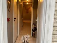 Rez - Entrée - Chiens acceptés sur demande préalable