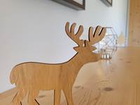 Chalet_Forapista_Kariboo