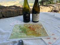 Le Vin au travers de la notion de terroir