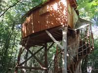 cabane dans les arbres