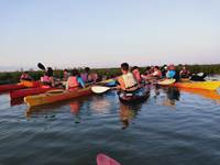 canoe kayak sur la seudre