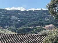 View of mountain from the Garden